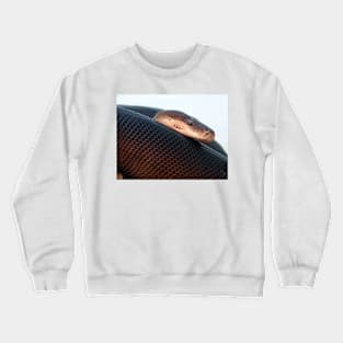 Olive Python Crewneck Sweatshirt